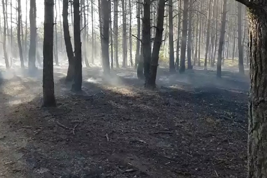 pożar fordon