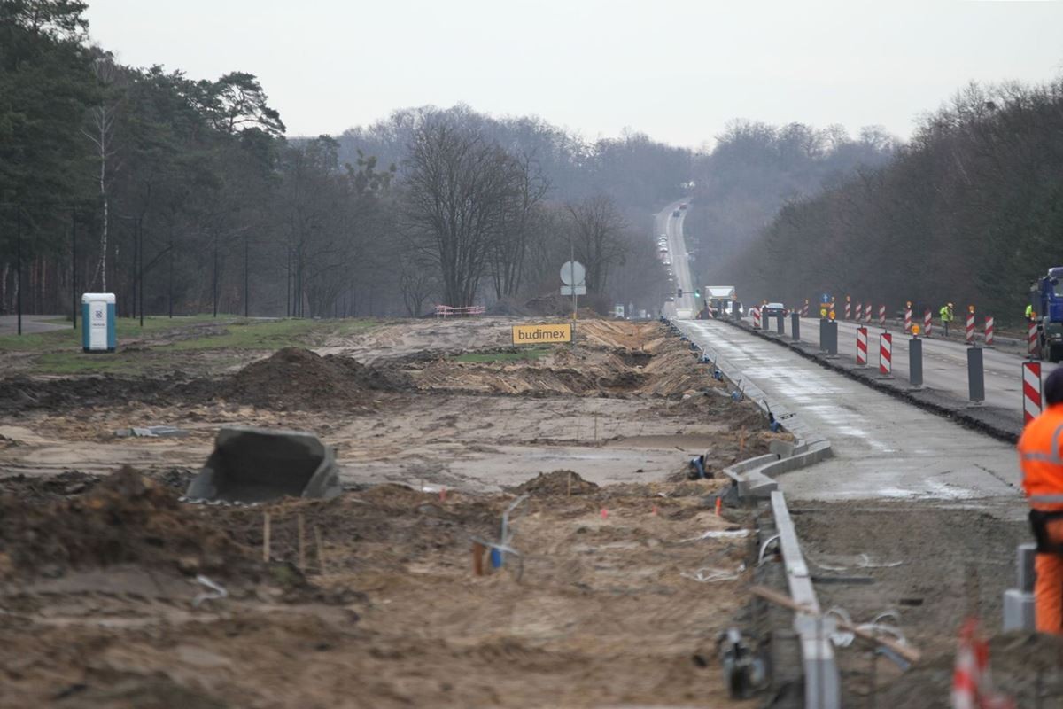 Bydgoszczanie zabrali głos w sprawie Myślęcinka. Znamy wyniki konsultacji