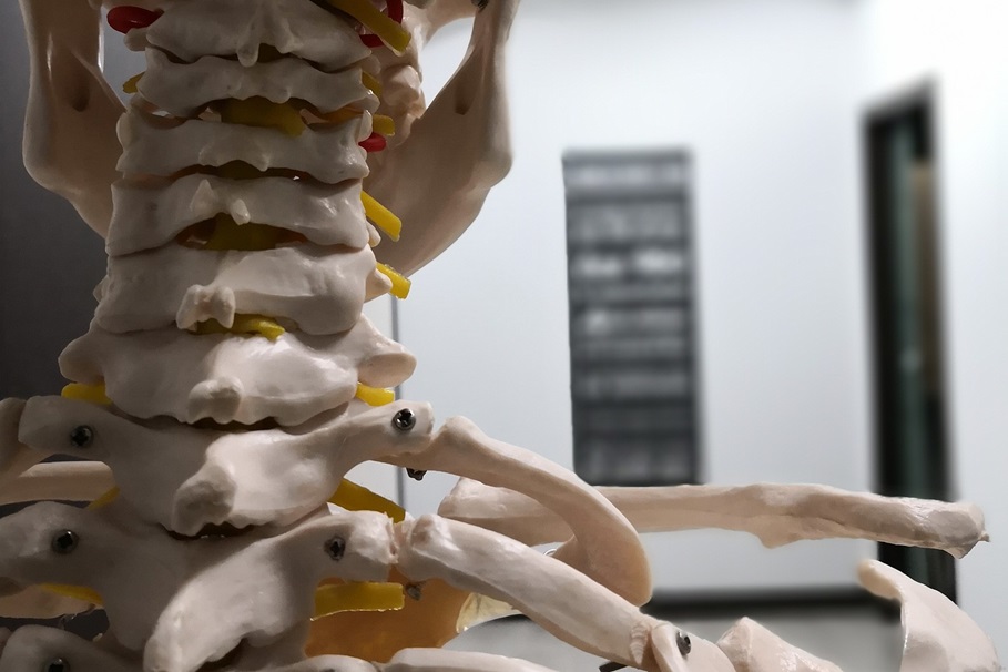 szkoła osteopatii