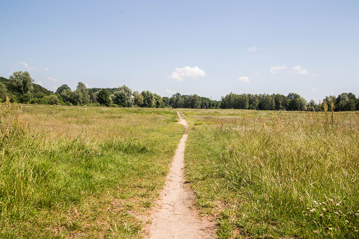 Myślęcinek_Leśny Park Kultury i Wypoczynku – SM (27)