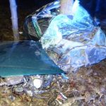 Renault uderzyło w drzewo na drodze krajowej. Kierowcę auta zabrano do szpitala [ZDJĘCIA]