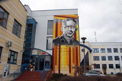 Murale w Bydgoszczy. Zobacz piękne malowidła na bydgoskich ścianach [ZDJĘCIA]