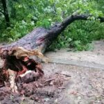 Front burzowy przeszedł przez Bydgoszcz i region. Straż pożarna podsumowała dzień