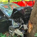 Auto osobowe uderzyło w przydrożne drzewo. Kierowca zmarł pomimo reanimacji
