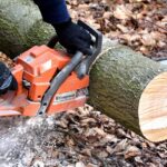 Spór o wycinki drzew w gminie Osielsko. Mieszkańcy piszą skargi, radni dopytują