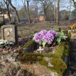 Cmentarze ewangelickie na terenie gm. Osielsko. Radny wnosi o  zadbanie i upamiętnienie