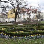 Wiosenne nasadzenia w Bydgoszczy. Pojawi się dużo kwiatów