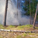 Pożar poszycia leśnego w Niwach. Służby apelują o zachowanie ostrożności