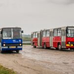 Na trzech liniach pojawią się zabytkowe autobusy. Tym razem jako darmowe kursy specjalne