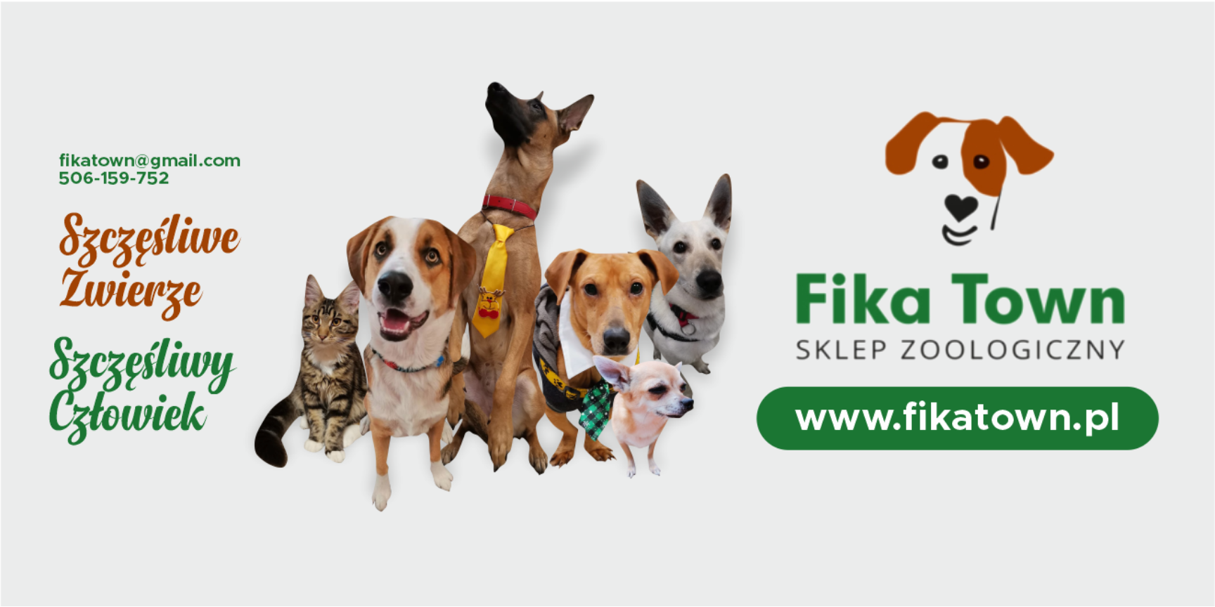 Dzień Kota z Fika Town. Podaruj swojemu pupilowi zdrowie i radość już dziś!