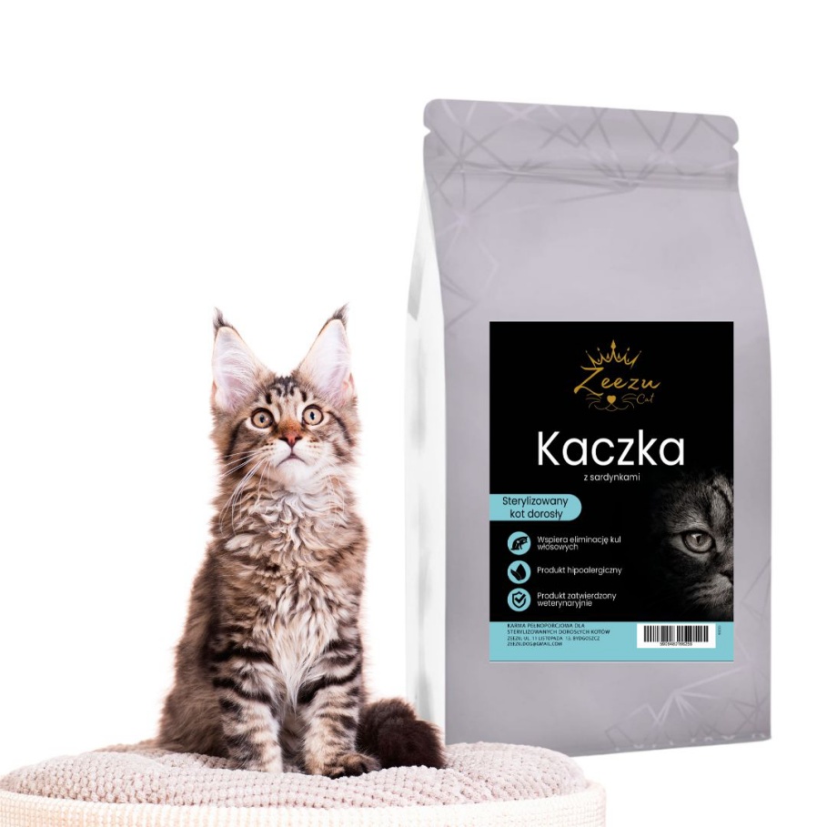 Dzień Kota z Fika Town. Podaruj swojemu pupilowi zdrowie i radość już dziś!