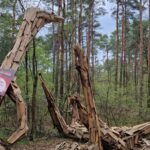Bydgoska atrakcja zniszczona przez siły natury. Trwa zbiórka na odbudowę Leszego