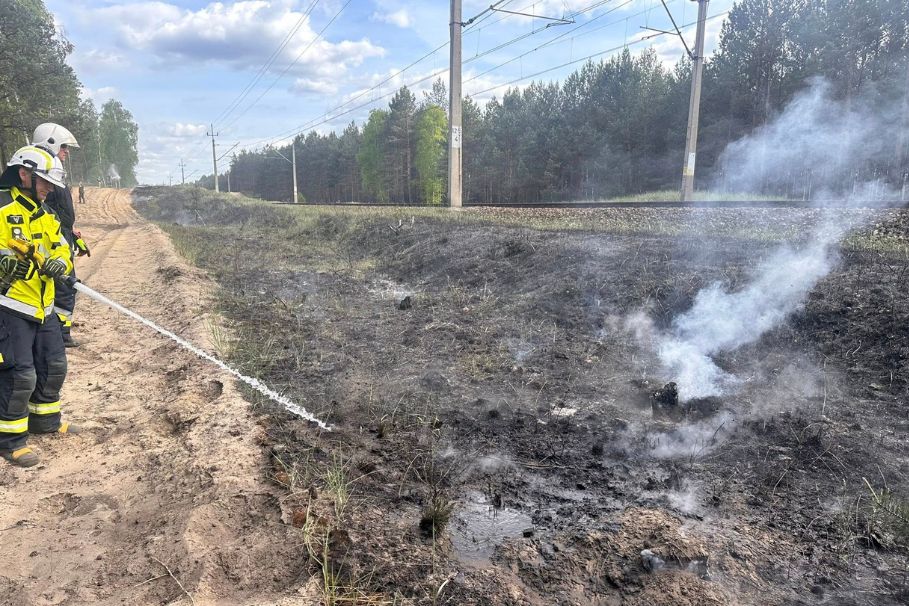 Ogień wzdłuż torów niedaleko Solca. Strażacy kolejny raz w akcji