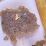 Właściciel PACO PIZZA odpowiada na oskarżenia i zapowiada sprawę w sądzie. "Wygląda to na celowe działanie"