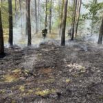 Uwaga, susza w lasach! Leśnicy i strażacy apelują o ostrożność