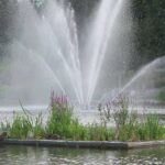 Kolejna zielona wyspa na Balatonie. Czy park wokół symbolu Bartodziejów zyska patrona? Kolejna zielona wyspa na Balatonie. Czy park wokół symbolu Bartodziejów zyska patrona?