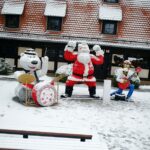 26-11-2025_Bydgoszcz_opady śniegu – SF-15