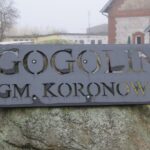 Część mieszkańców Gogolina protestuje przeciwko farmom fotowoltaicznym. Czego się obawiają? Gogolin Gmina Koronowo 3 listopada 2025 – IN