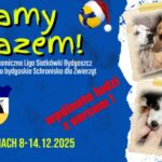Gramy RAZEM - ALS Bydgoszcz wspiera Schronisko dla Zwierząt! siatkowka als bydgoszcz dla schroniska