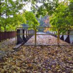 MOST NAD KANAŁEM ZDMIKP