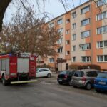 pozar fordon – bb (3)