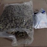 MARIHUANA MARZEC 2026 KMP