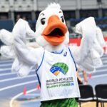 Mistrzostwa Polski za nami. Wkrótce początek atrakcji na HMŚ ZDJĘCIE wykonane przez: Bartosz Górecki © | PHOTO by: Bartosz