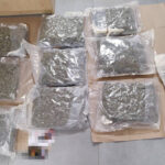 zabezpieczone narkotyki Bydgoszcz_KMP Bydgoszcz-1