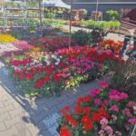 480685758_1097211355545951_3244168004933079373_n