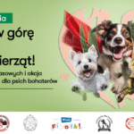 Czworonogi_GP_1200 x 630