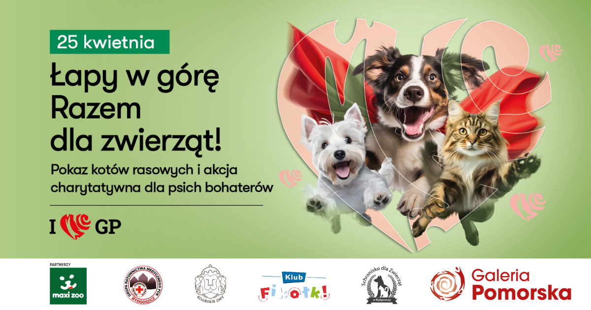 Czworonogi w roli głównej – rasowe koty, psi bohaterowie i inne atrakcje w Galerii Pomorskiej