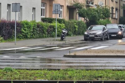 Co warto wiedzieć o deszczu, retencji i mieście-gąbce
