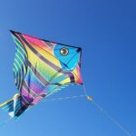 Fordońskie Święto Latawca już w ten weekend! danielmills-kite-2160948