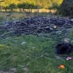 Dwaj mieszkańcy Kutna kradli kable na „gościnnych występach" pod Bydgoszczą kable koronowo